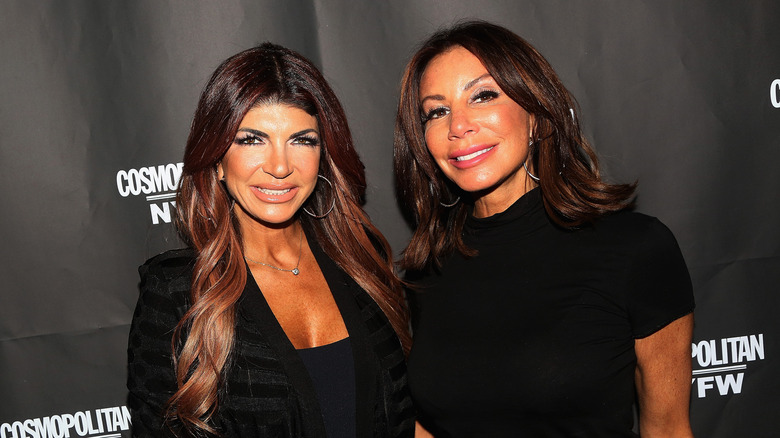 Teresa Giudice and Danielle Staub smiling and posing side by side