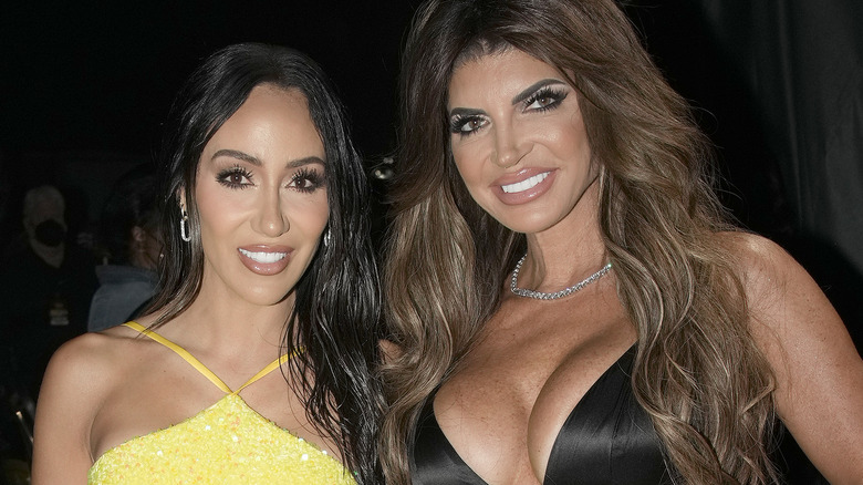 Melissa Gorga and Teresa Giudice smiling