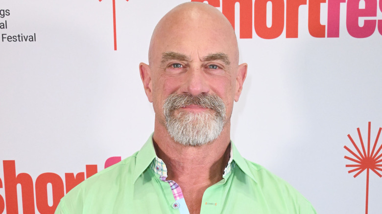 Christopher Meloni at 32nd Annual Palm Springs International ShortFest