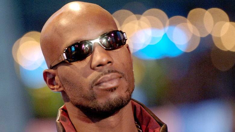 DMX in shades 