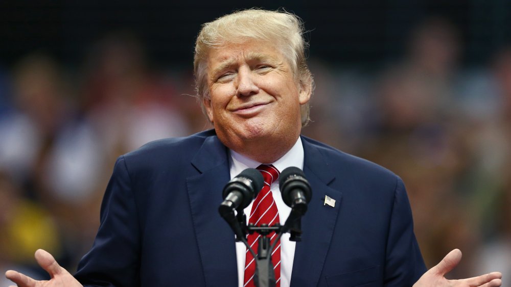 Donald Trump at a rally in 2015