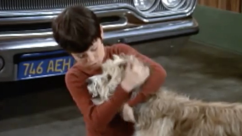 Mike Lookinland and Tiger on The Brady Bunch