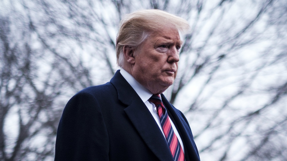 Donald Trump with tree branches behind him 