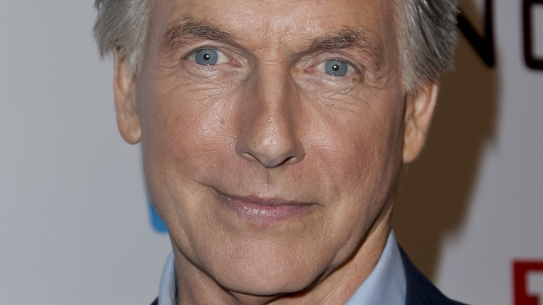 Mark Harmon looks into the camera