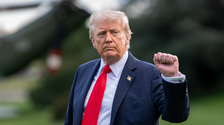 Donald Trump serious face