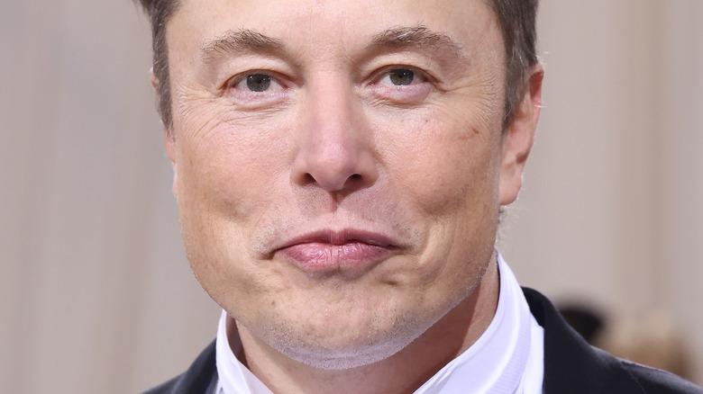 Elon Musk posing