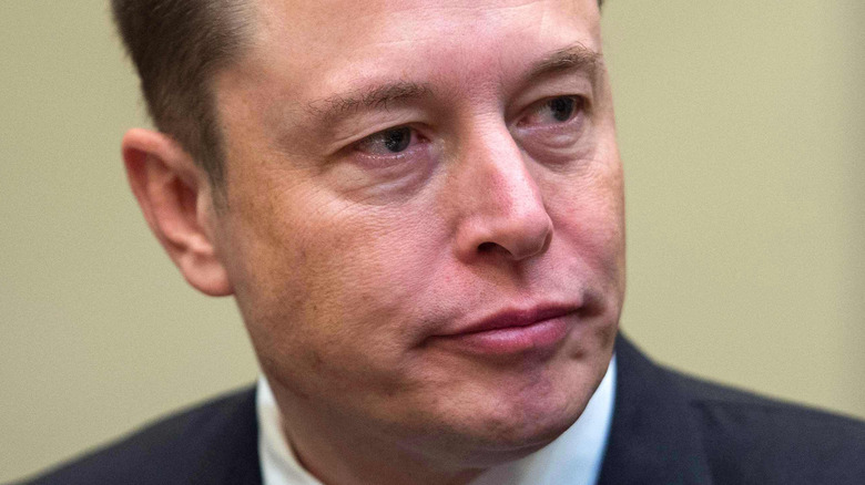 Elon Musk looking to the side with slight frown