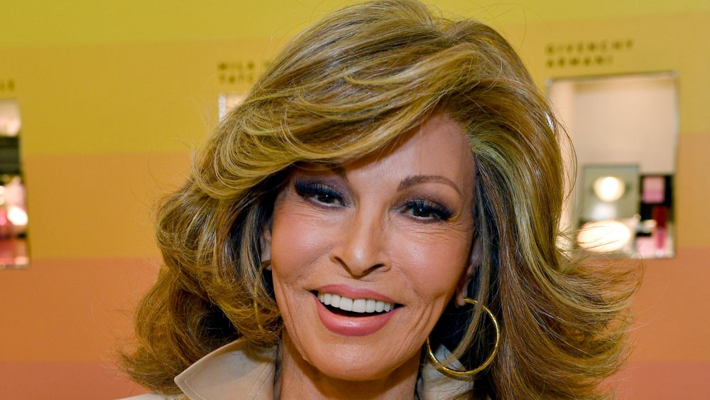 This Is How Much Raquel Welch Is Actually Worth - Nicki Swift.