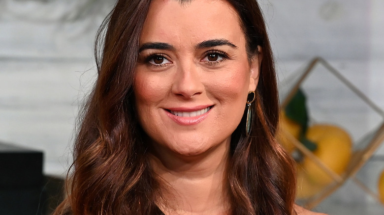 Cote de Pablo smiling