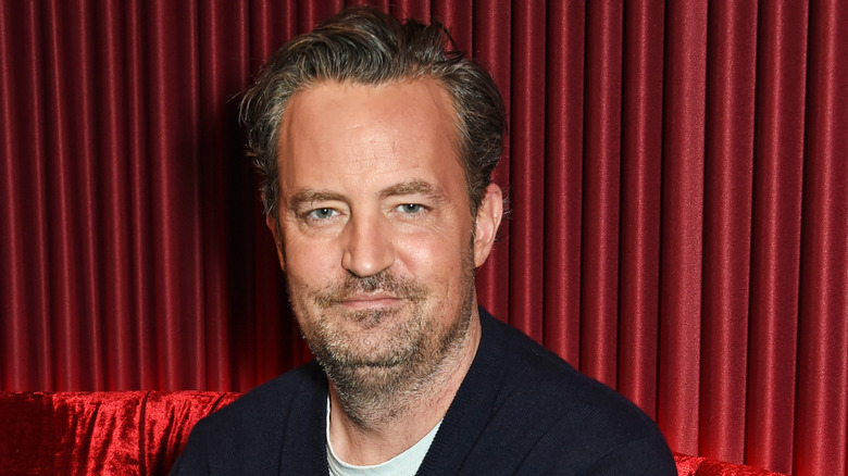 Matthew Perry posing