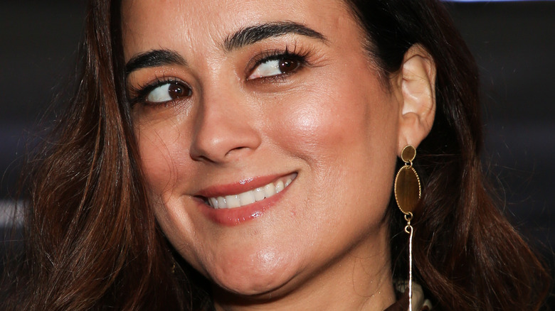 Cote de Pablo in 2019