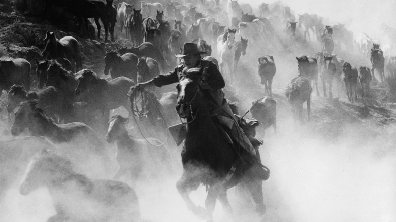 John Wayne riding on horseback and holding a lasso while running with horses in a scene from 