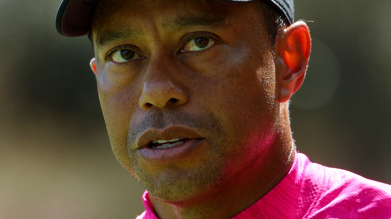 Tiger Woods concentrating