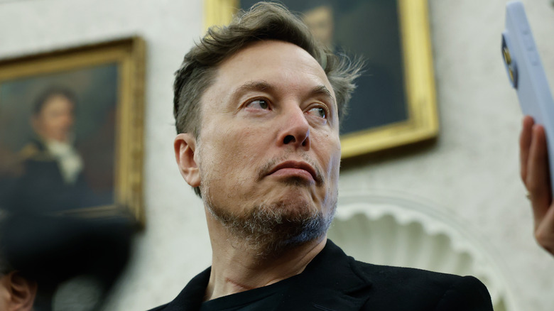 Elon Musk at the White House