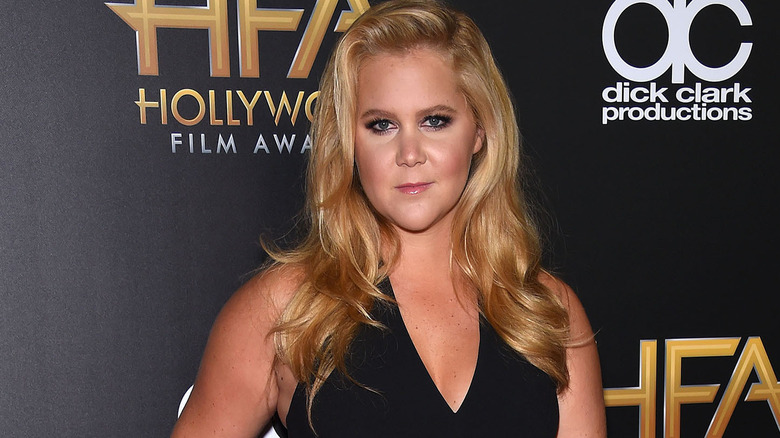 Amy Schumer posing 