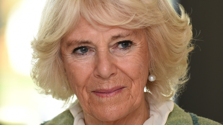 Camilla Parker Bowles posing 