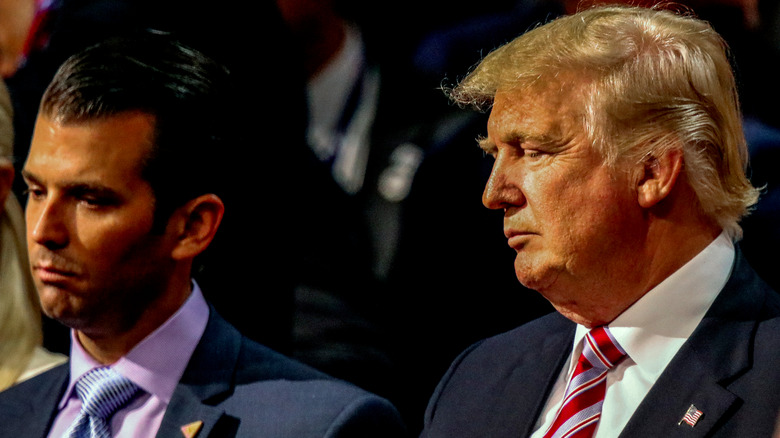 Donald Trump Jr. and Donald Trump looking serious