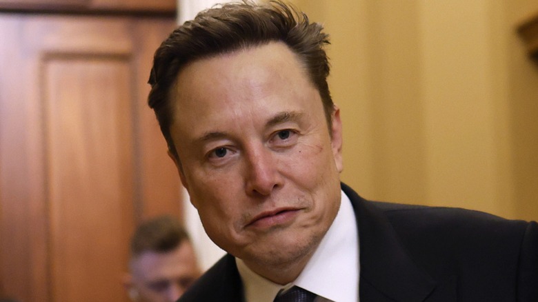 Elon Musk arrives on Capitol Hill in Washington, DC (2024)
