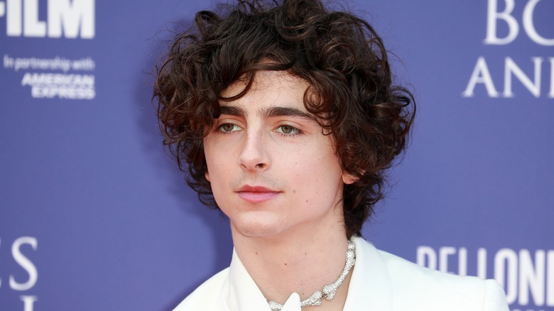 Timothée Chalamet posing in white