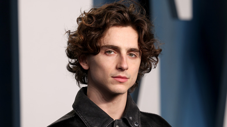 Timothée Chalamet posing