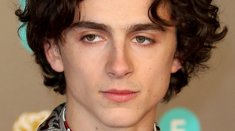 Timothée Chalamet looking serious