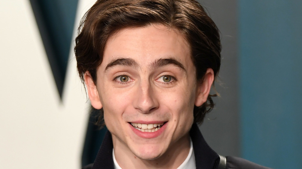 Timothee Chalamet on the red carpet