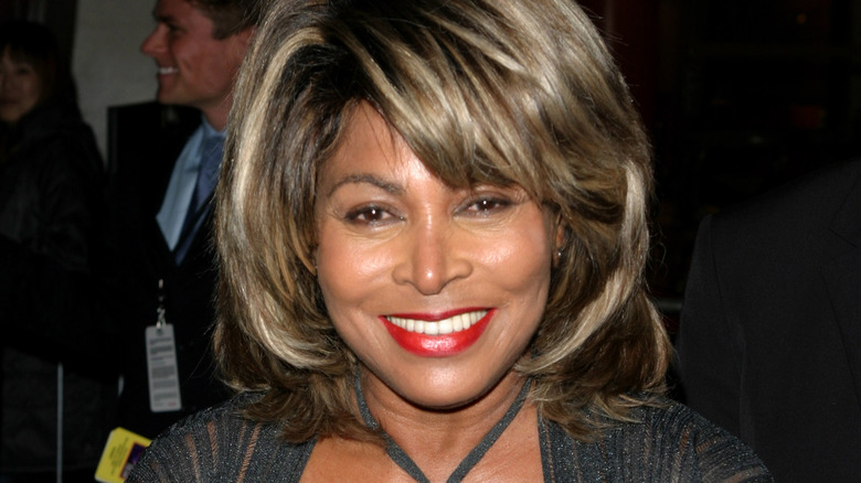 Tina Turner older with brown hair