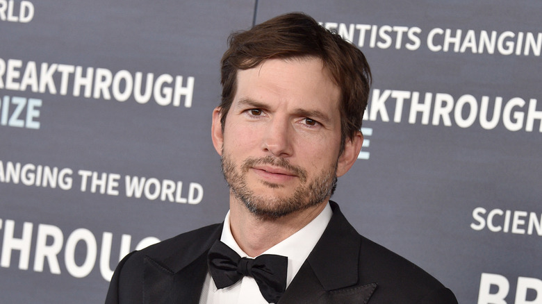 ashton kutcher 2023 portrait