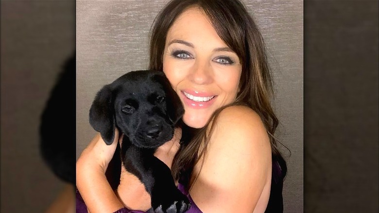 Elizabeth Hurley holding spaniel puppy