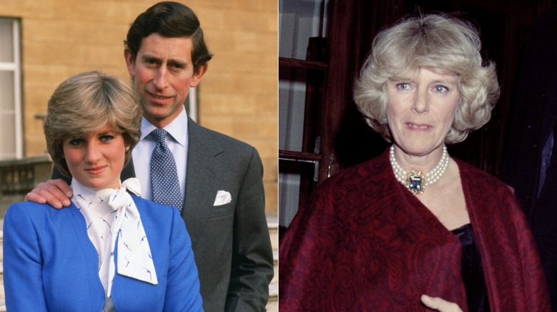 Princess Diana, Prince Charles, and Camila Parker Bowles split