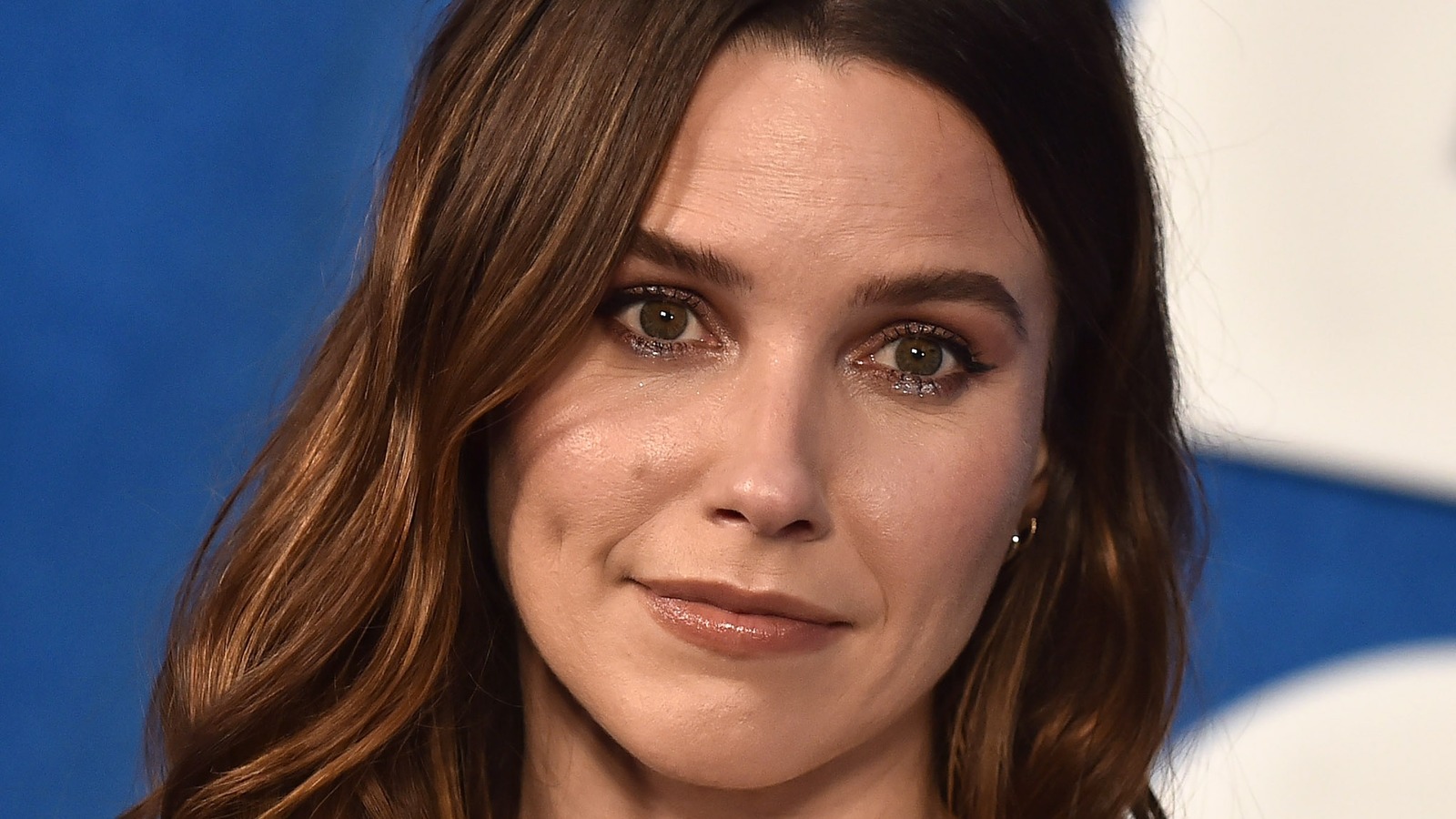 Tragic Details About Sophia Bush