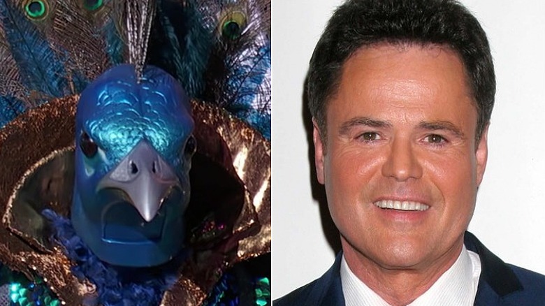 Masked Singer's Peacock and Donny Osmond split image