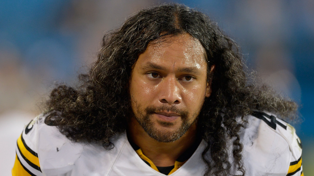 Troy Polamalu Pittsburgh Steelers Hair 