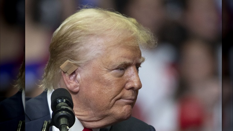 Donald Trump combover hair talking