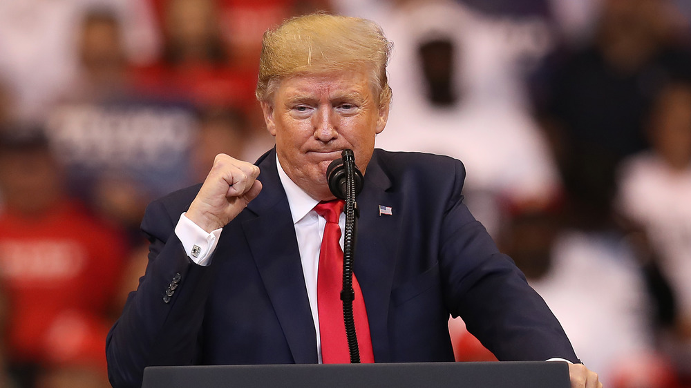 Donald Trump speaking at a campaign rally