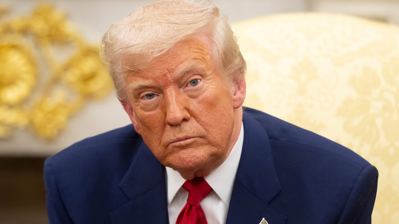 Donald Trump posing