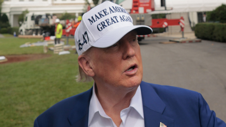 Donald Trump on the White House lawn