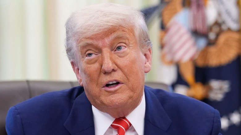 Donald Trump speaks to reporters on Elon Musk's final day in the White House (2025)