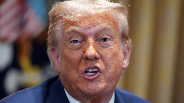 Donald Trump speaking at a Cabinet Meeting