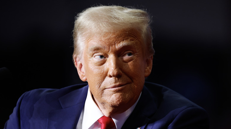 Donald Trump smirks at 2024 campaign rally