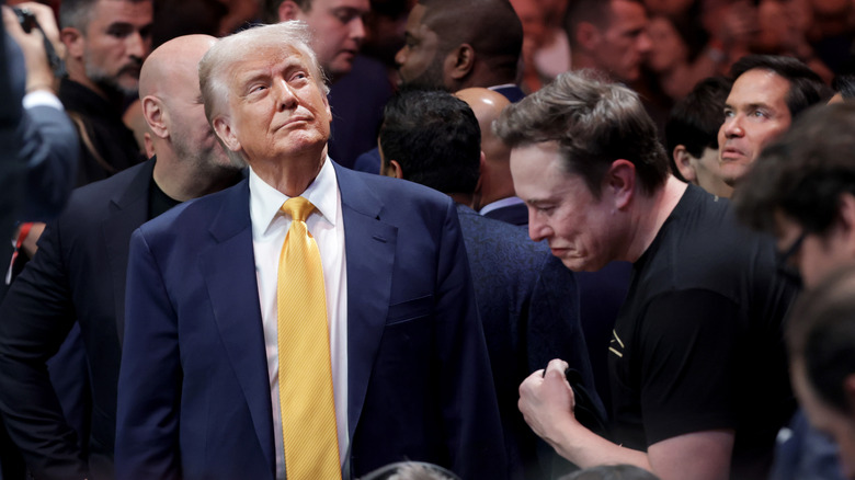 Donald Trump and Elon Musk at a UFC fight