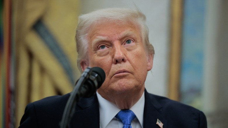 Donald Trump answers questions in the Oval Office of the White House (2025)