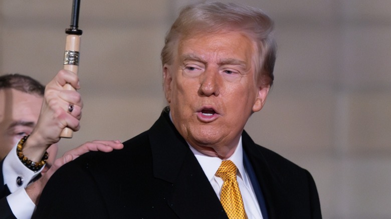 Donald Trump at the Elysee Palace for an interview in Paris, France (2024)