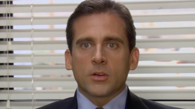 Steve Carell as Michael Scott on The Office