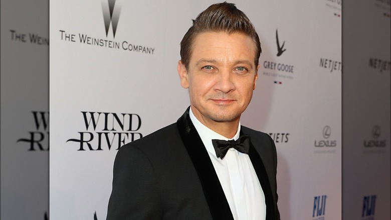 Jeremy Renner posing