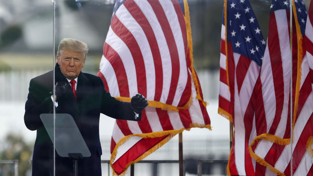 Donald Trump before riot on Capitol Hill 