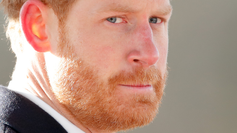 Prince Harry red beard