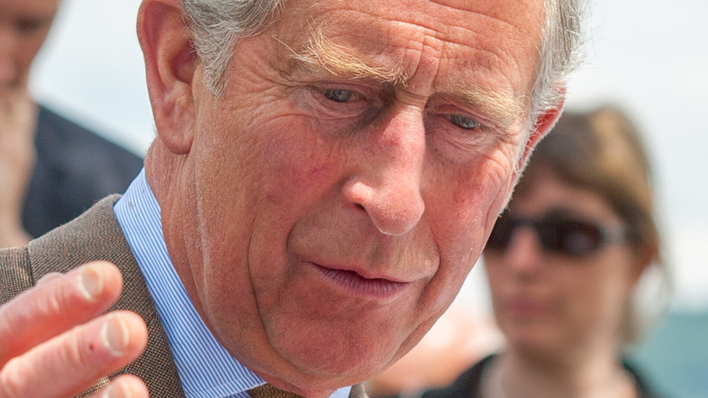 Prince Charles looking down