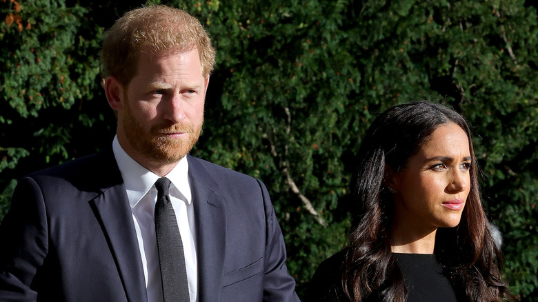 Harry and Meghan photographed outside.