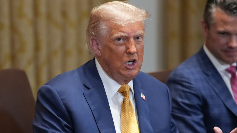 Donald Trump speaking animatedly in a meeting.
